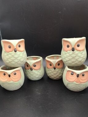 Set of 6 Mini Owl Ceramic Succulent Planters with Drainage